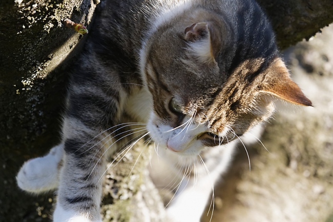 Famille et amis-MAR16-067